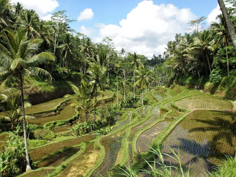 Luxury Indonesia Honeymoon: Bali, Nusa Penida & Sumbawa 14D/13N photo 3