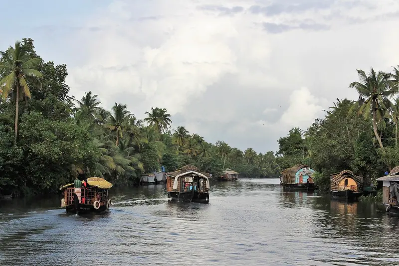 Kerala Slow Travel: 7 Days of Backwaters, Spice & Silence