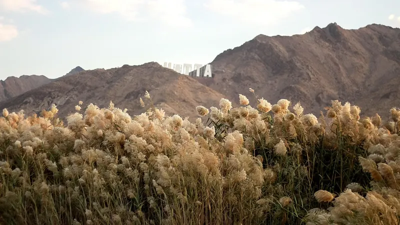 Hatta & Desert Adventure 3D/2N photo 2