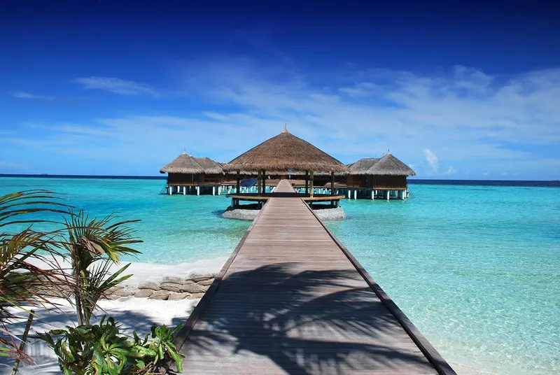 AlUla & Red Sea Grand Luxury 8D/7N photo 4