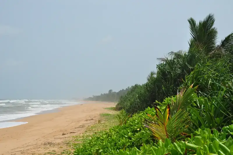 Destination wedding in Sri Lanka