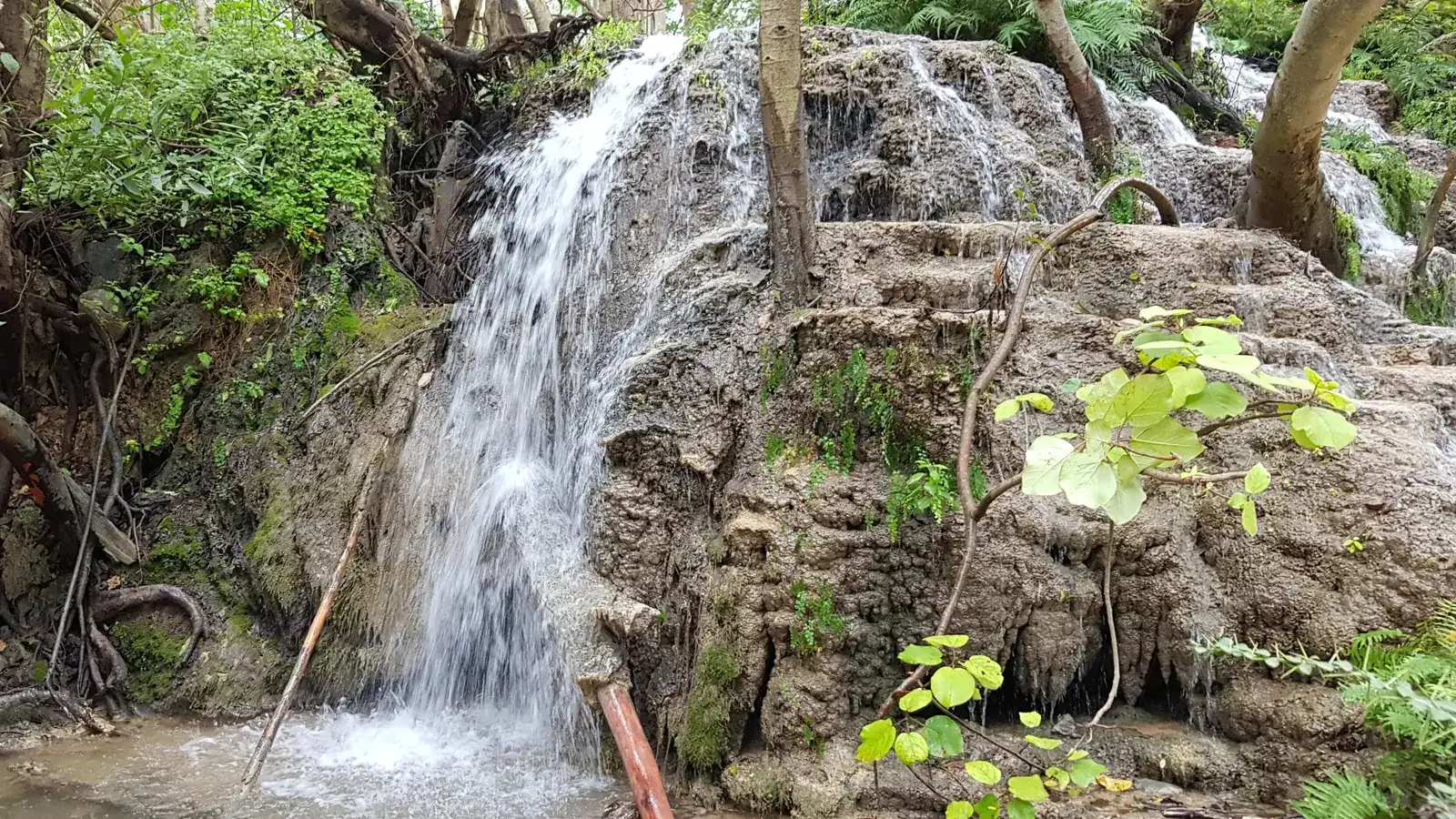 Salalah Khareef Monsoon Escape 5D/4N - 5 days holiday package