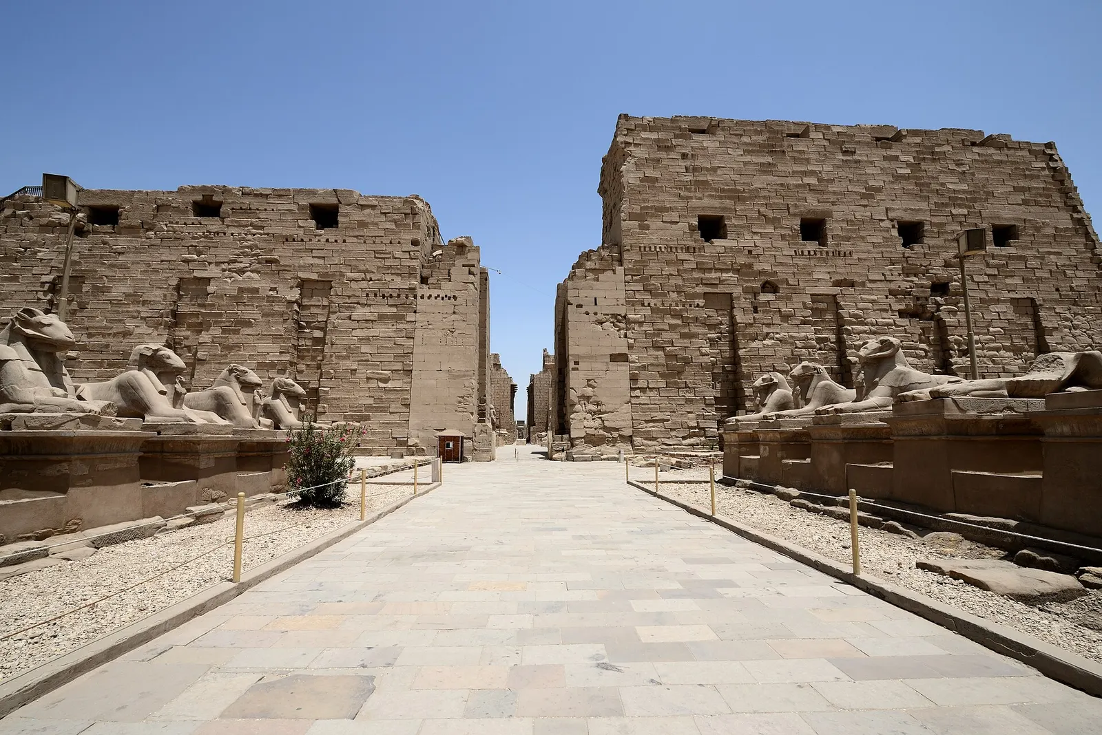 Nile Odyssey – Cairo, Abu Simbel, Nile Cruise & Luxor 8D/7N - 8 days holiday package