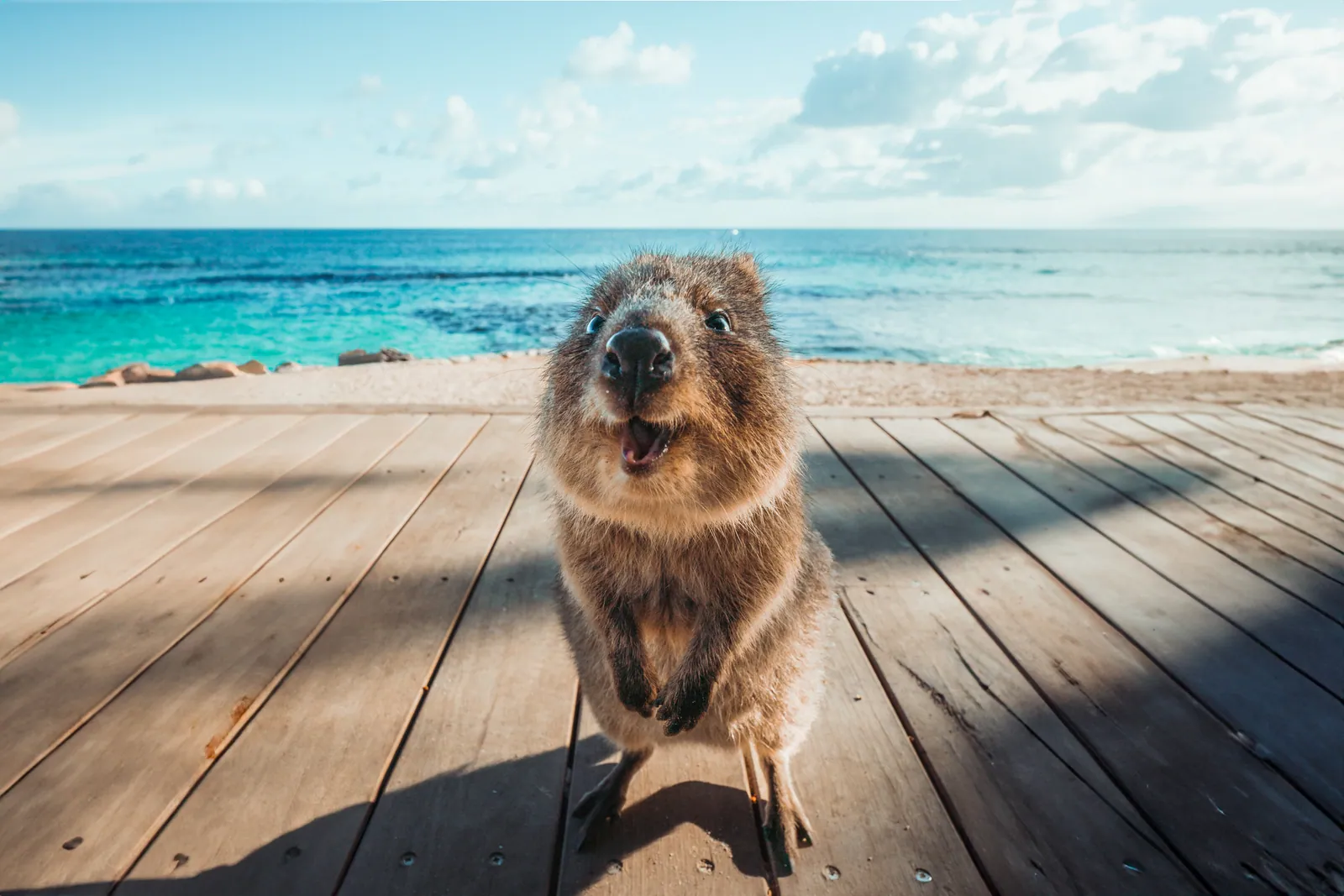 Perth — A journey beyond ordinary