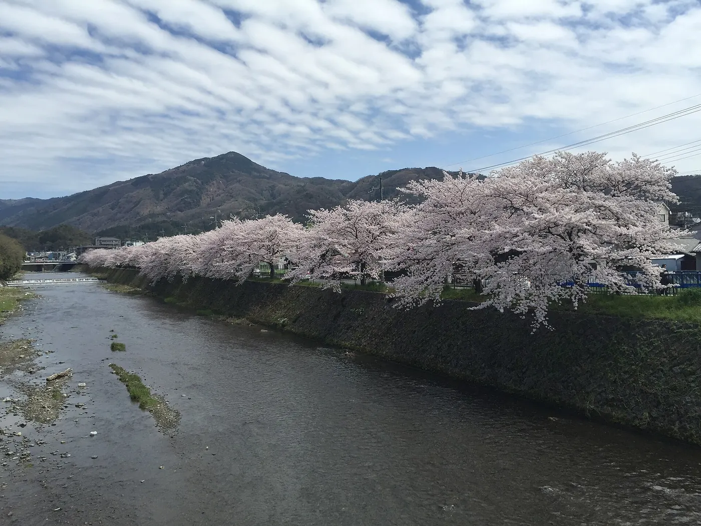 Cherry Blossom Japan – Tokyo, Kyoto & Osaka 7D/6N - 7 days holiday package