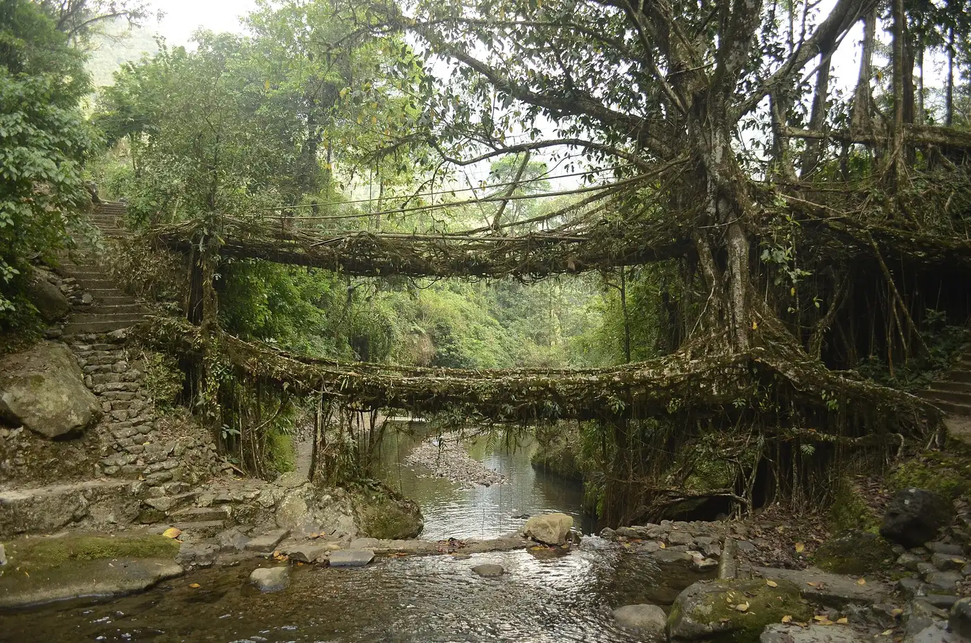 Cherrapunjee — A journey beyond ordinary