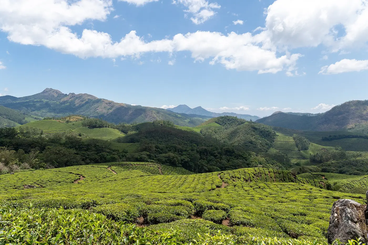 Hills of the South – Ooty, Kodaikanal & Munnar 8D/7N - 8 days holiday package