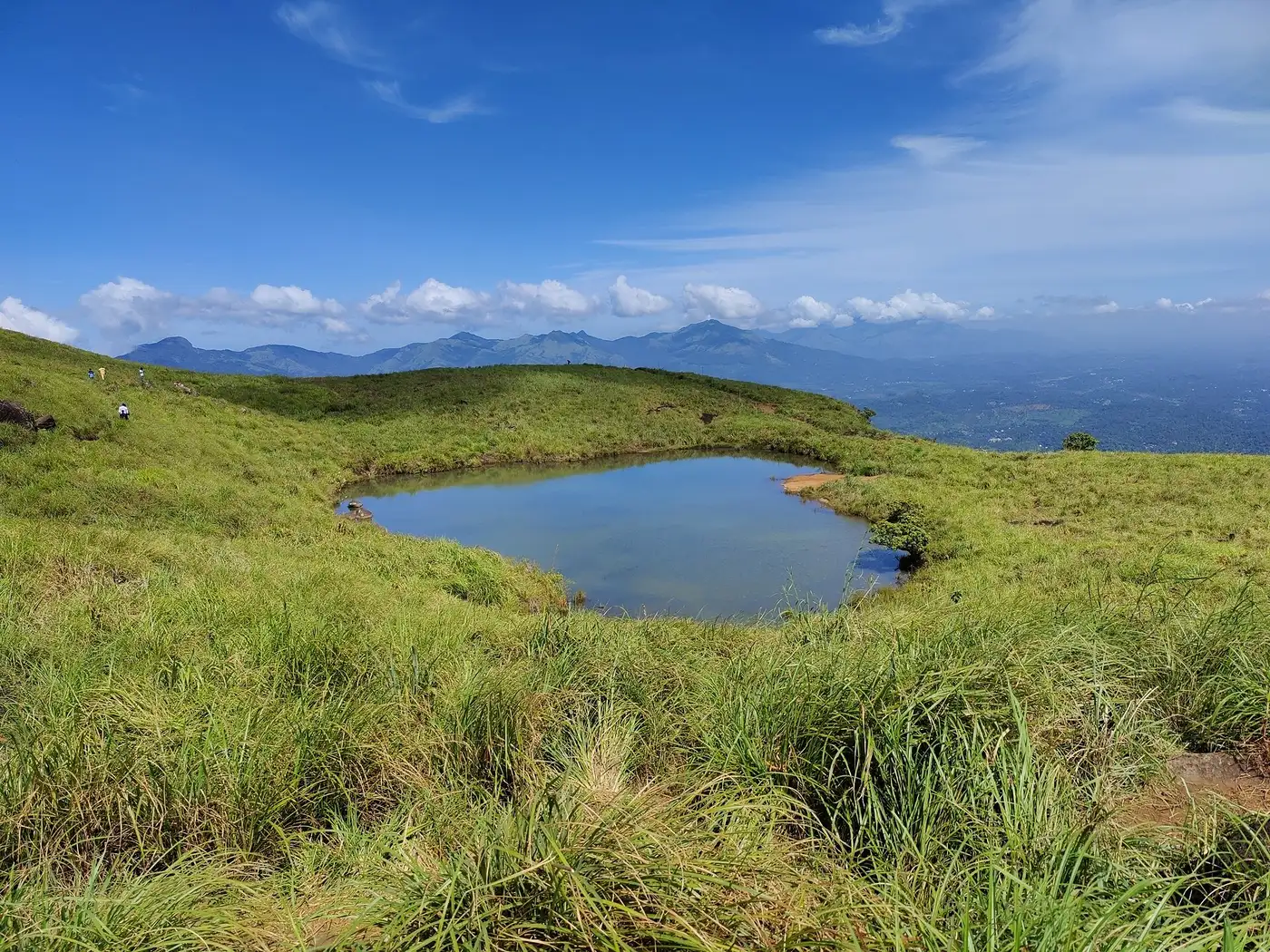 Coorg & Wayanad Escape 5D/4N - 5 days holiday package