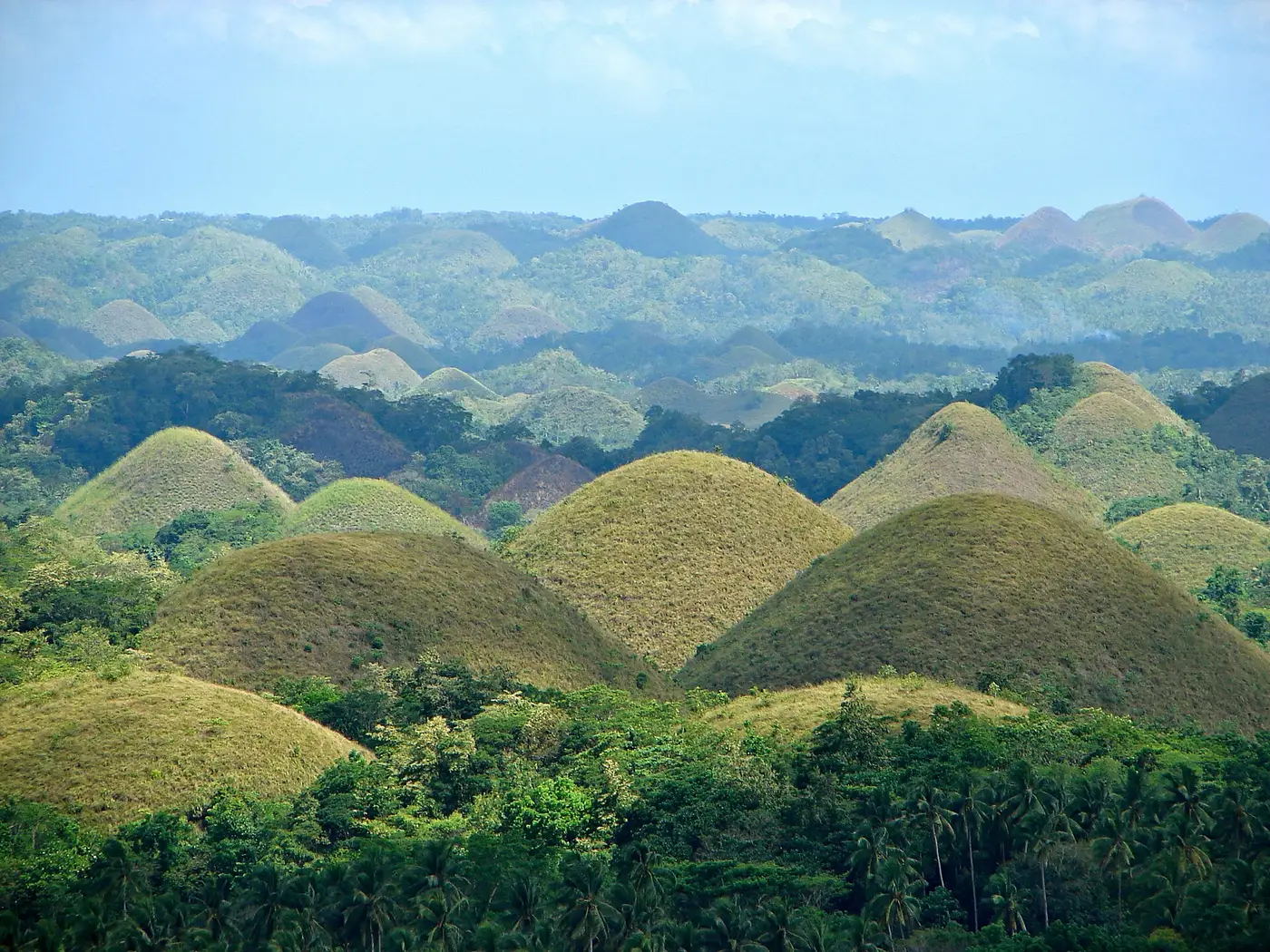 Bohol Bound: Chocolate Hills & Tarsier Trails 3D/2N - 3 days holiday package
