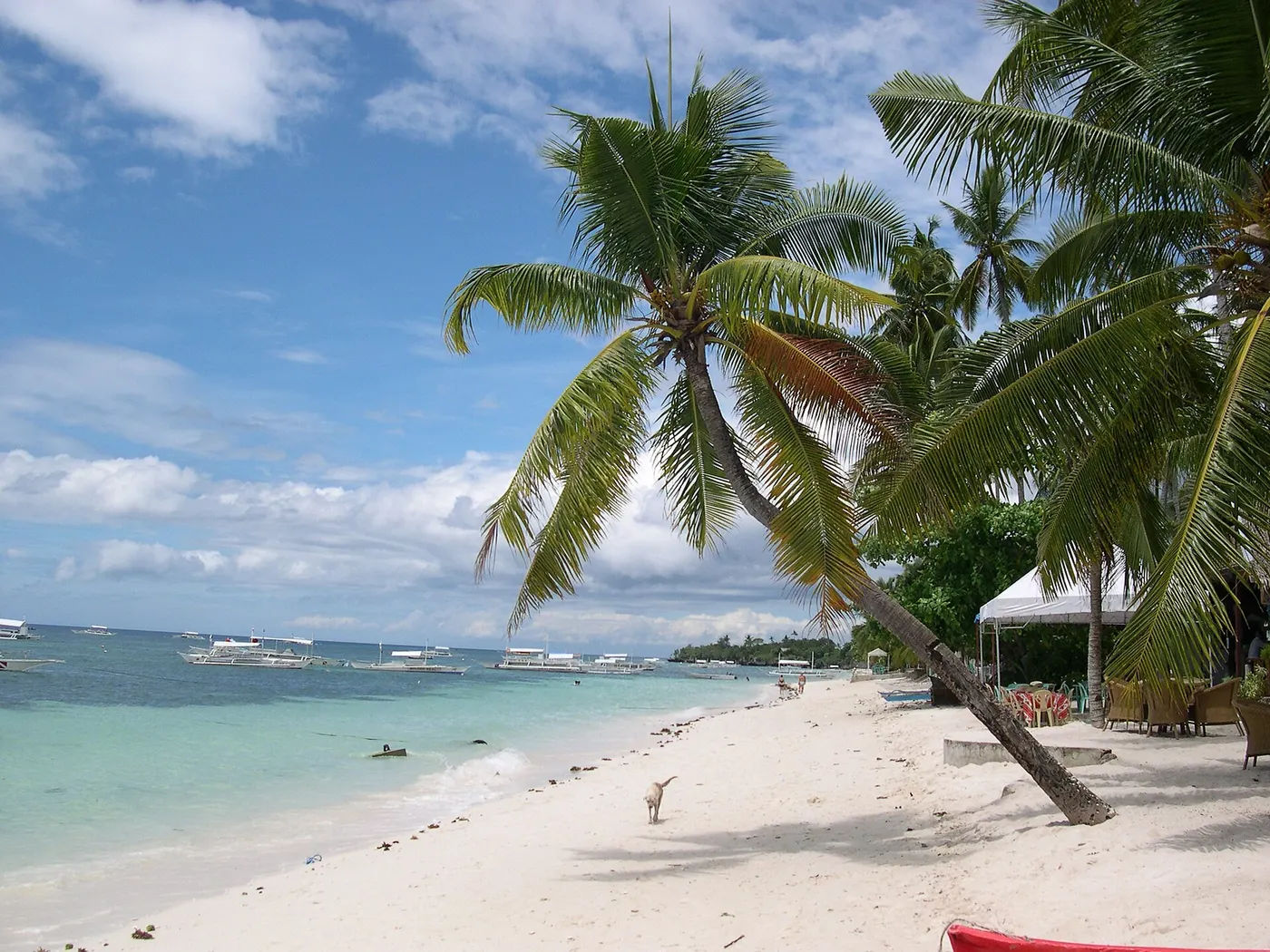 Cebu & Panglao Island Unwind 8D/7N - 8 days holiday package