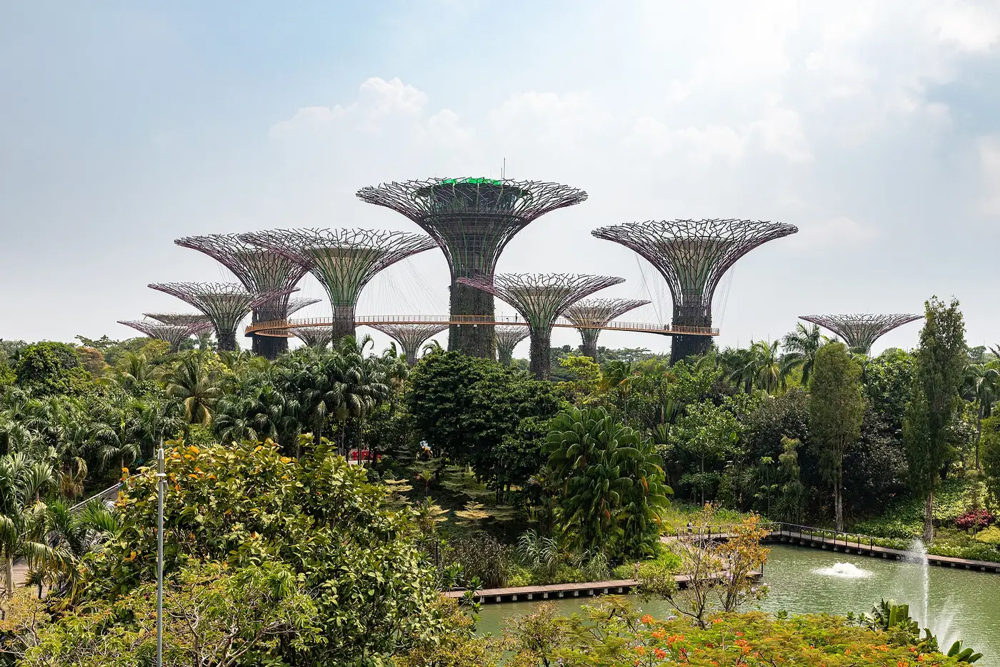 Singapore with Universal Studios, Sentosa & Night Safari 5D/4N - 5 days holiday package