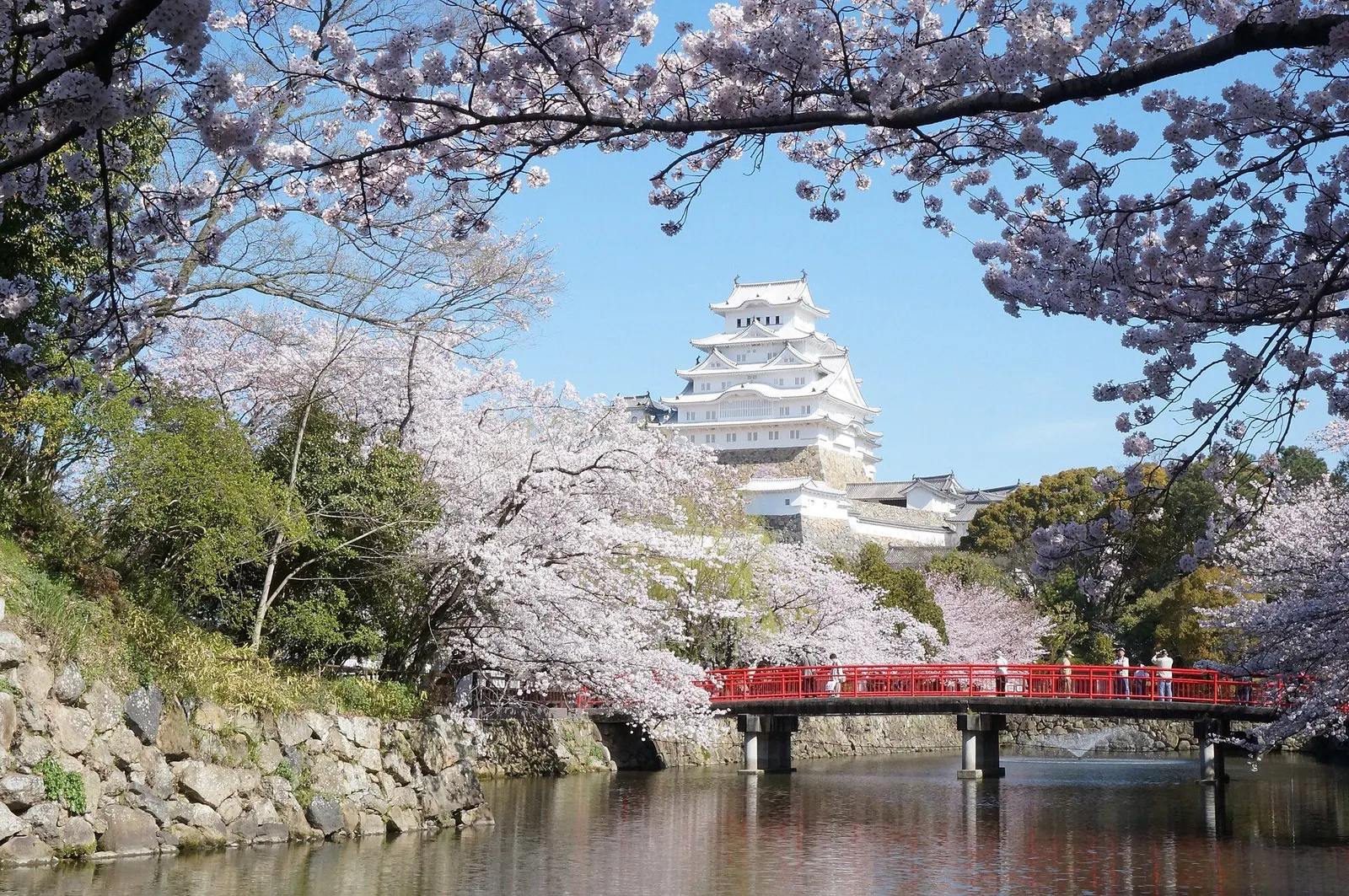 Kyoto — A journey beyond ordinary