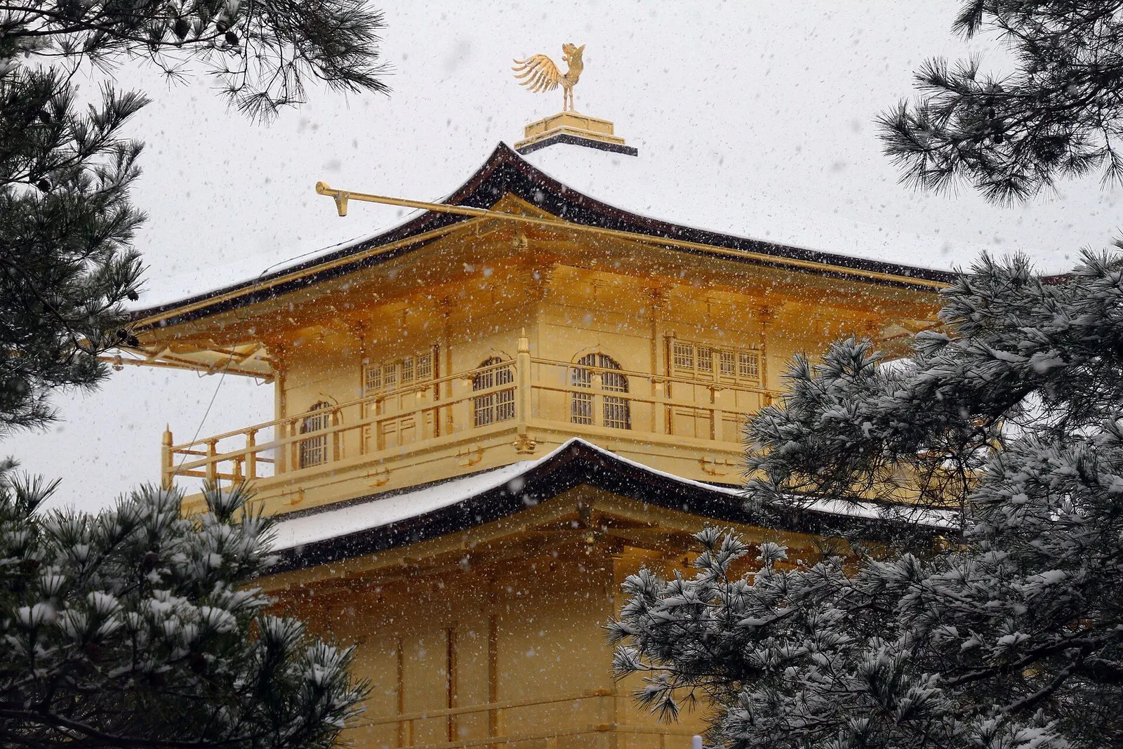 Japan Winter Perfected – Tokyo, Kyoto & Osaka 12D/11N - 12 days holiday package