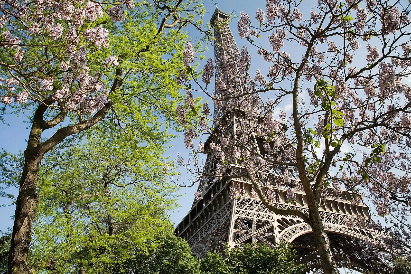 Grand Western Europe Circle - 14 days holiday package