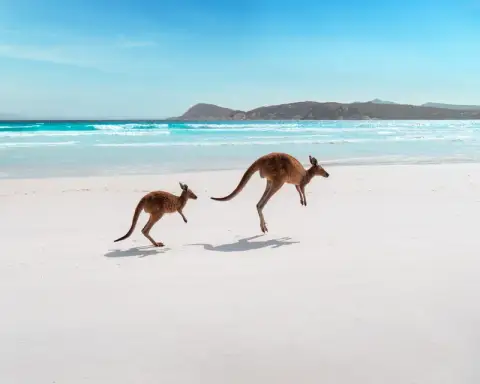 Perth Ultimate 6D/5N — Western Australia tour package