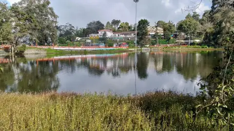 South India Hill Stations – Mysore, Ooty & Kodaikanal 6D/5N — Karnataka & Tamil Nadu tour package