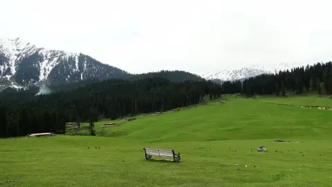 Charismatic Kashmir – Houseboat, Pahalgam, Gulmarg & Doodhpathri 8D/7N — Kashmir tour package