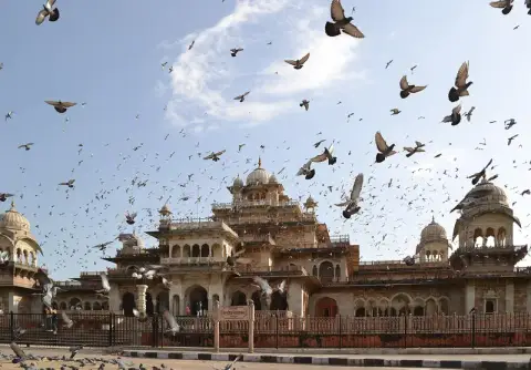 Jaipur & Ranthambore Tiger Safari 5D/4N — Rajasthan tour package