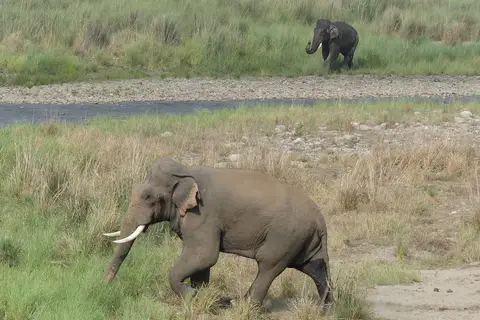 Uttarakhand Hills & Wildlife – Nainital, Corbett & Mussoorie 7D/6N — Uttarakhand tour package