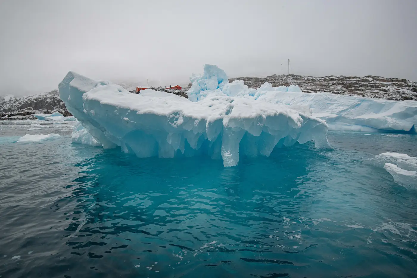 Antarctica expedition photo 8