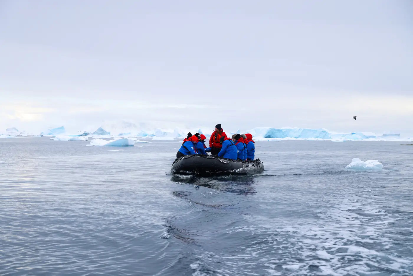 Antarctica expedition photo 3