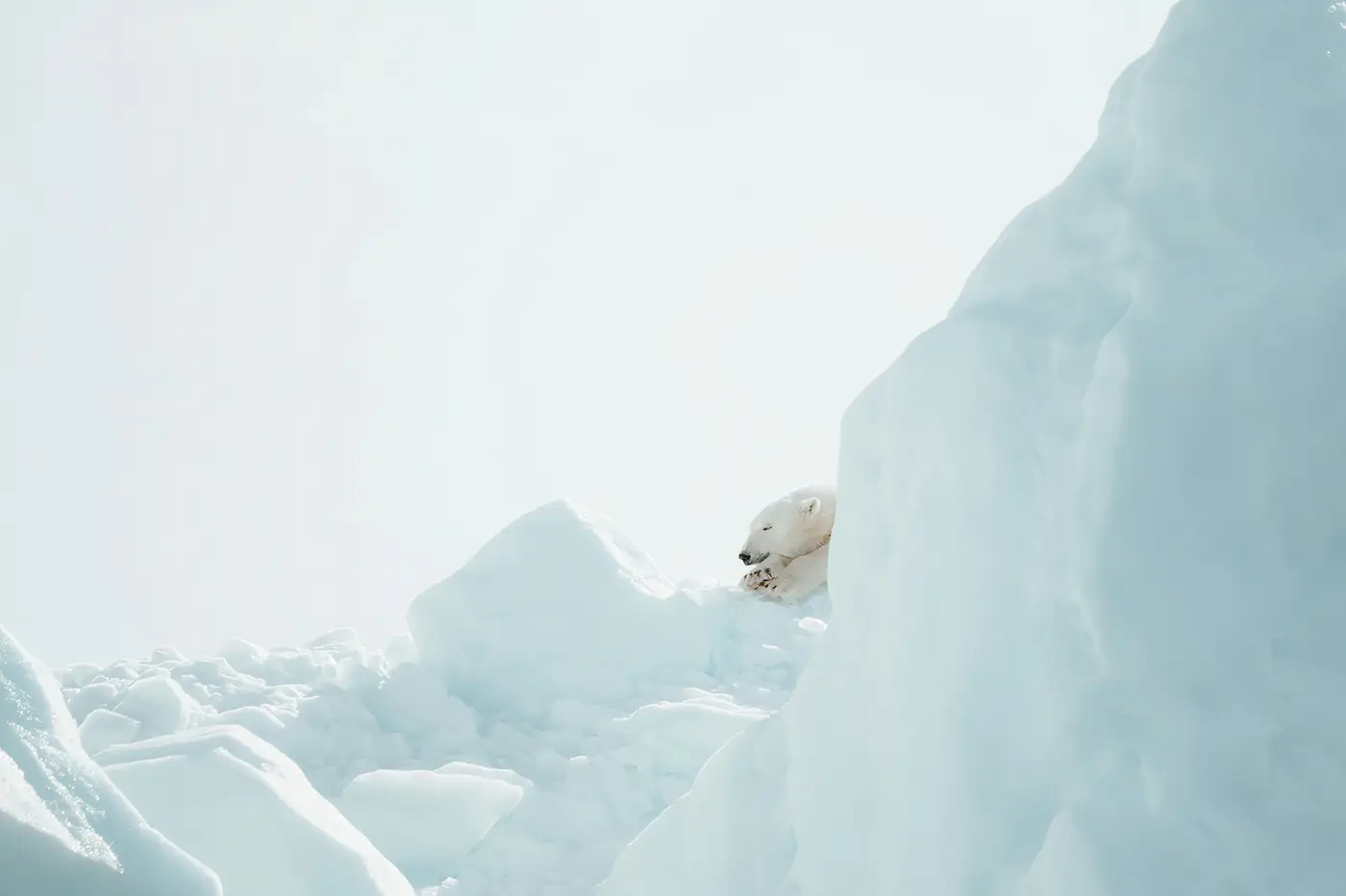 Greenland expedition photo 6