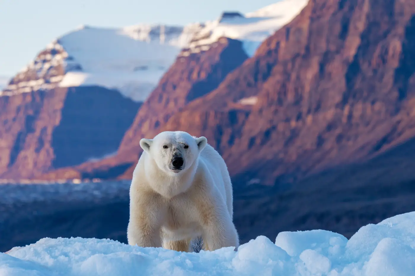 Greenland expedition photo 2