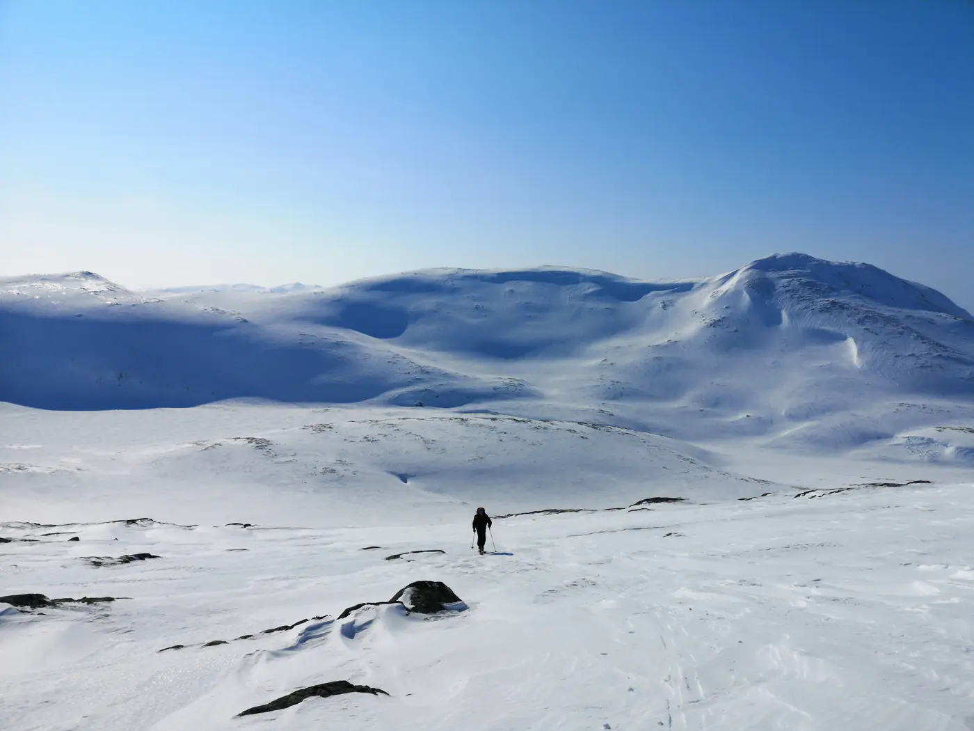 Svalbard expedition photo 7